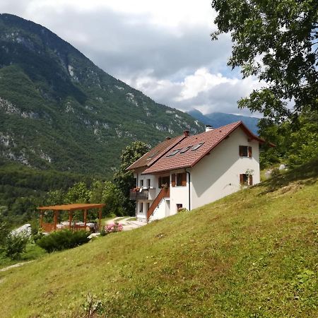 Apartma Elizabeth Apartment Srpenica Екстериор снимка